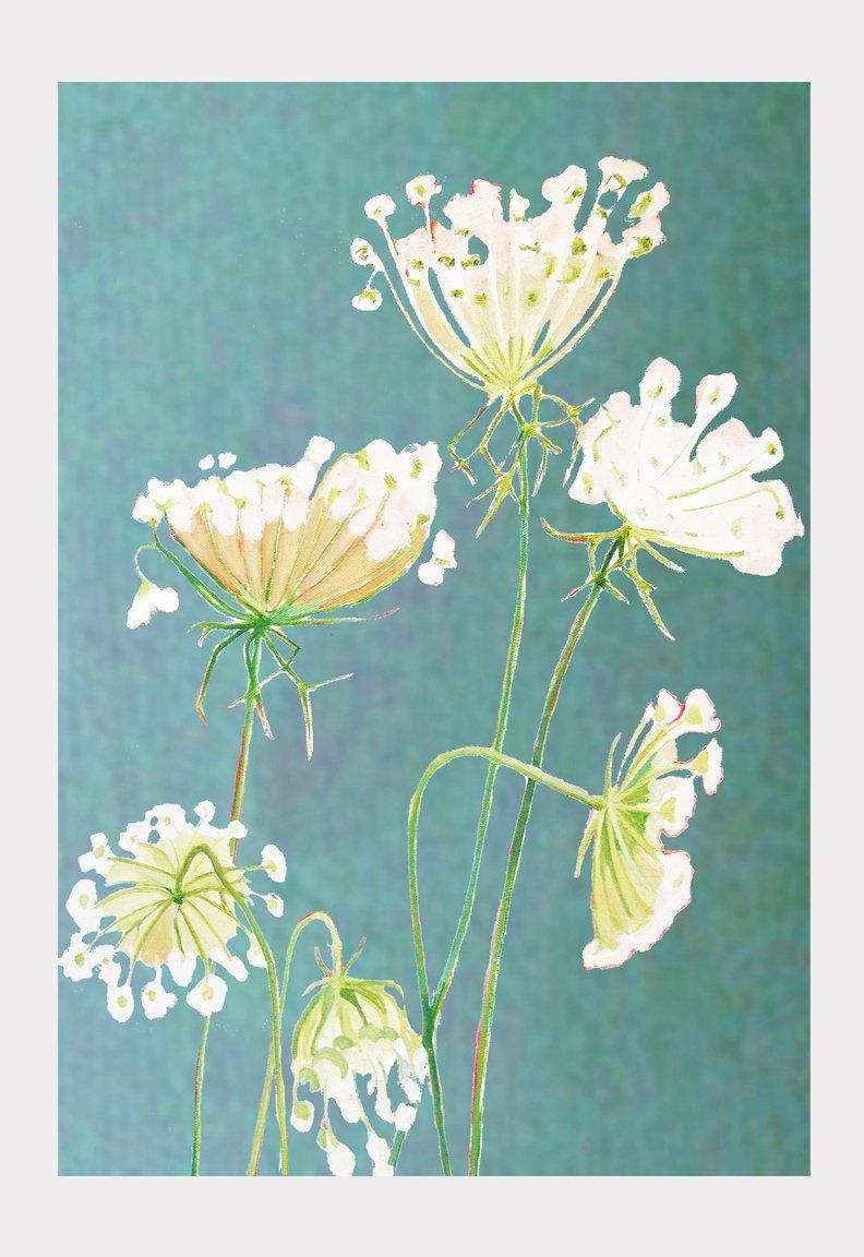 Art Print:  Queen Anne's Lace on Teal