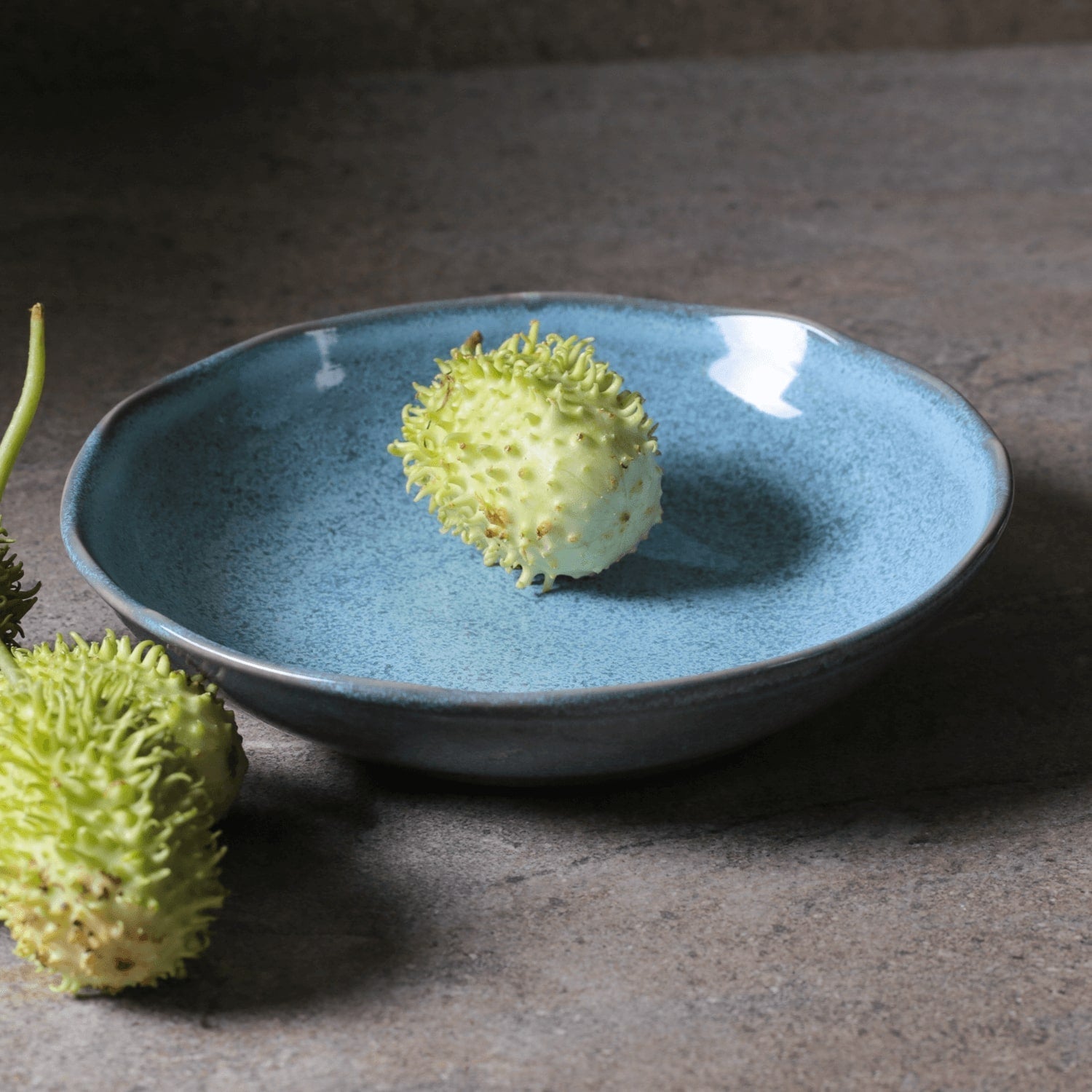 Pasta Plate Set of 6 | Porto Brasil Porcelain | 14 Colors | Microwave, Dishwasher & Freezer Safe