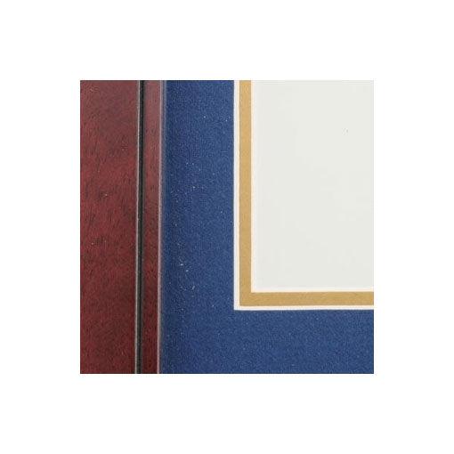EMS Medallion Frame for 8x10 Certificate Frame