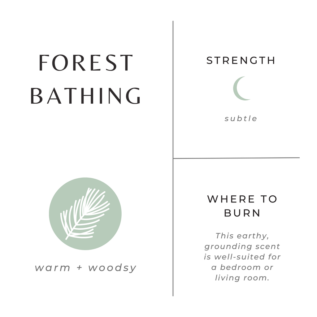 Forest Bathing Soy Candle | Fir, Pine Needle & Patchouli | 100% Essential Oils | Non-Toxic | Cotton Wick | Reusable Gold Tin | 20-Hour Burn | Slow North