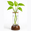 Premium Home Decoration Essentials