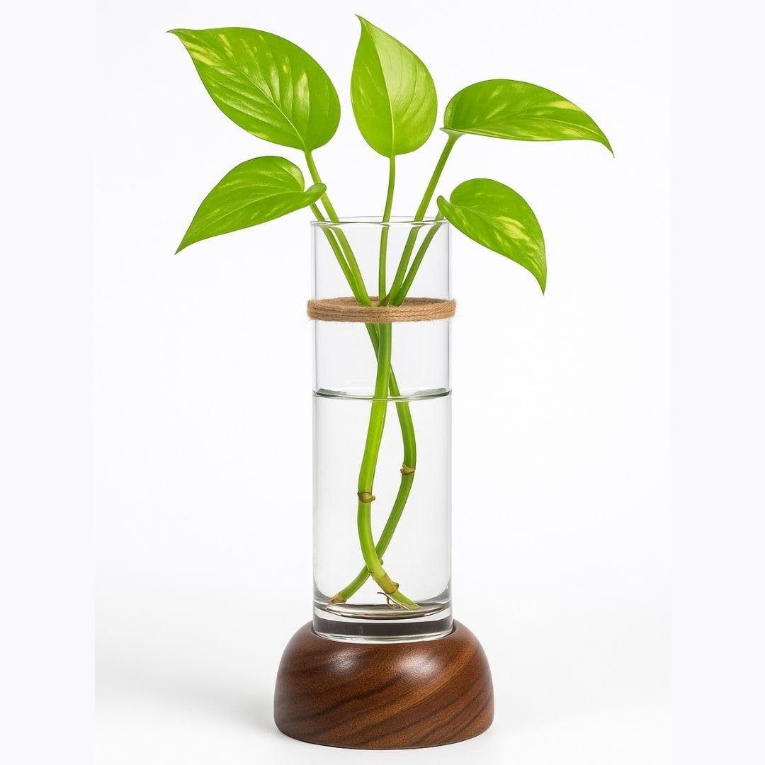 Premium Home Decoration Essentials