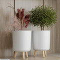 Modern White Planter with Legs Pack of 2
