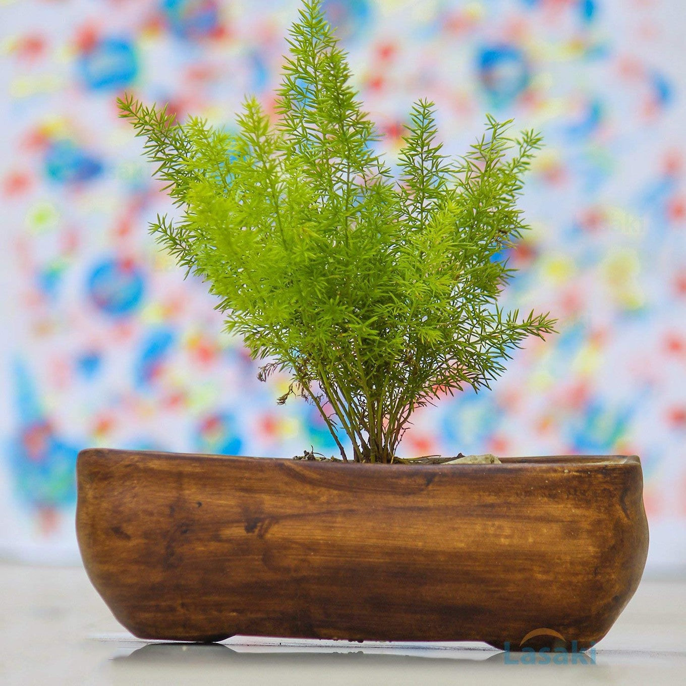Rectangle Ceramic Planter Pot | Indoor & Outdoor | Modern Design