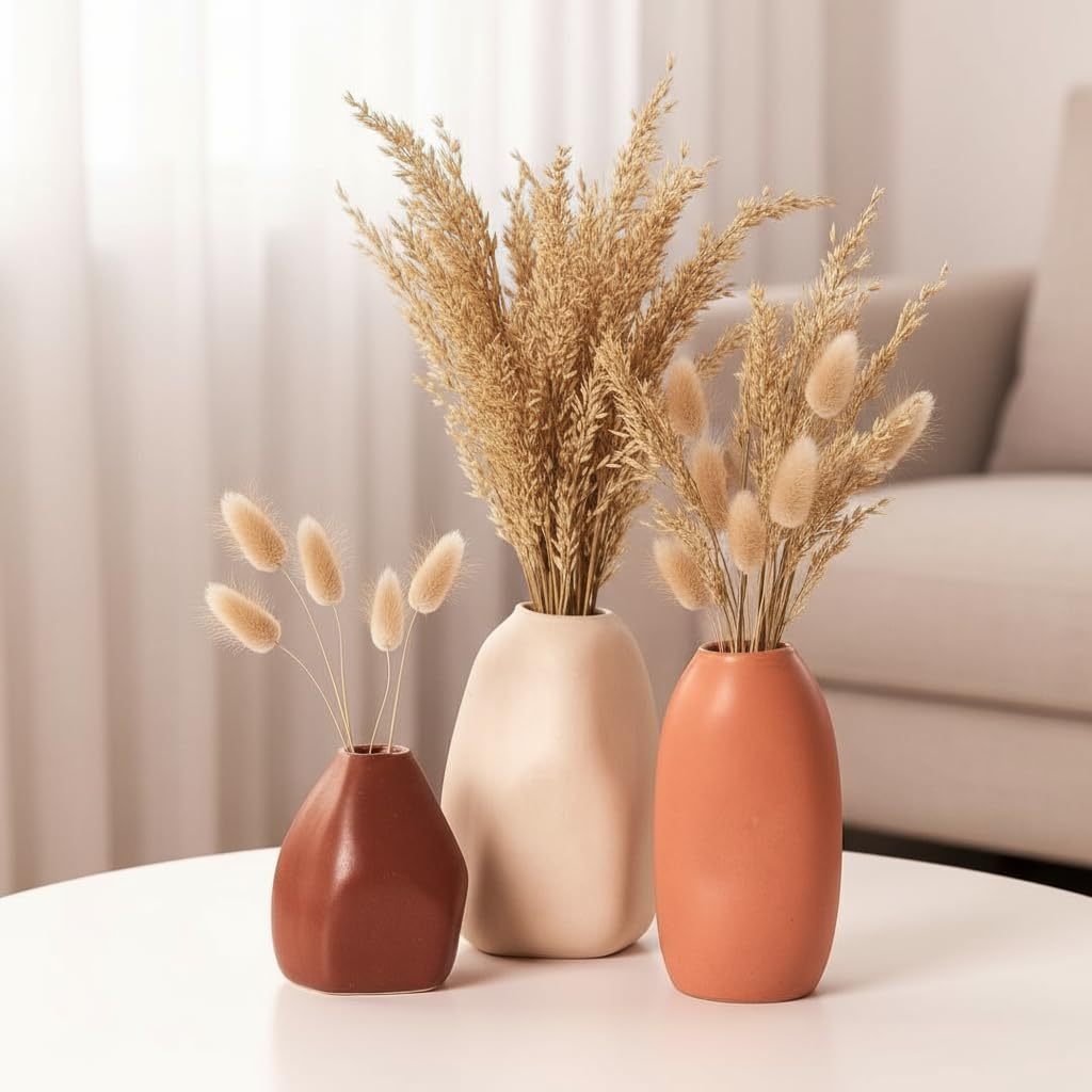 Elegant Decorative Vase Set (Set of 3)