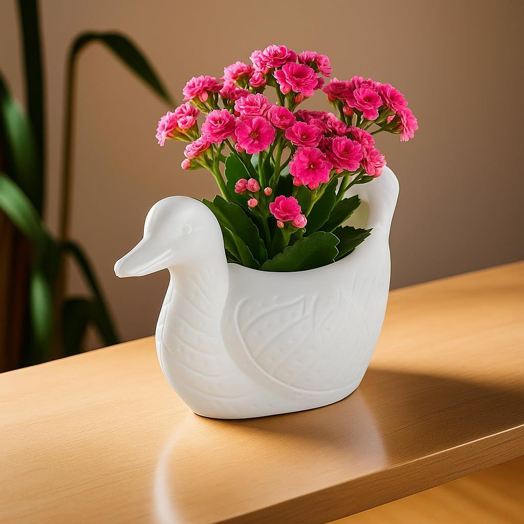 Duck Shape Small Decorative Plant Pot
