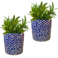 Blue Ceramic Decorative Plant Pot