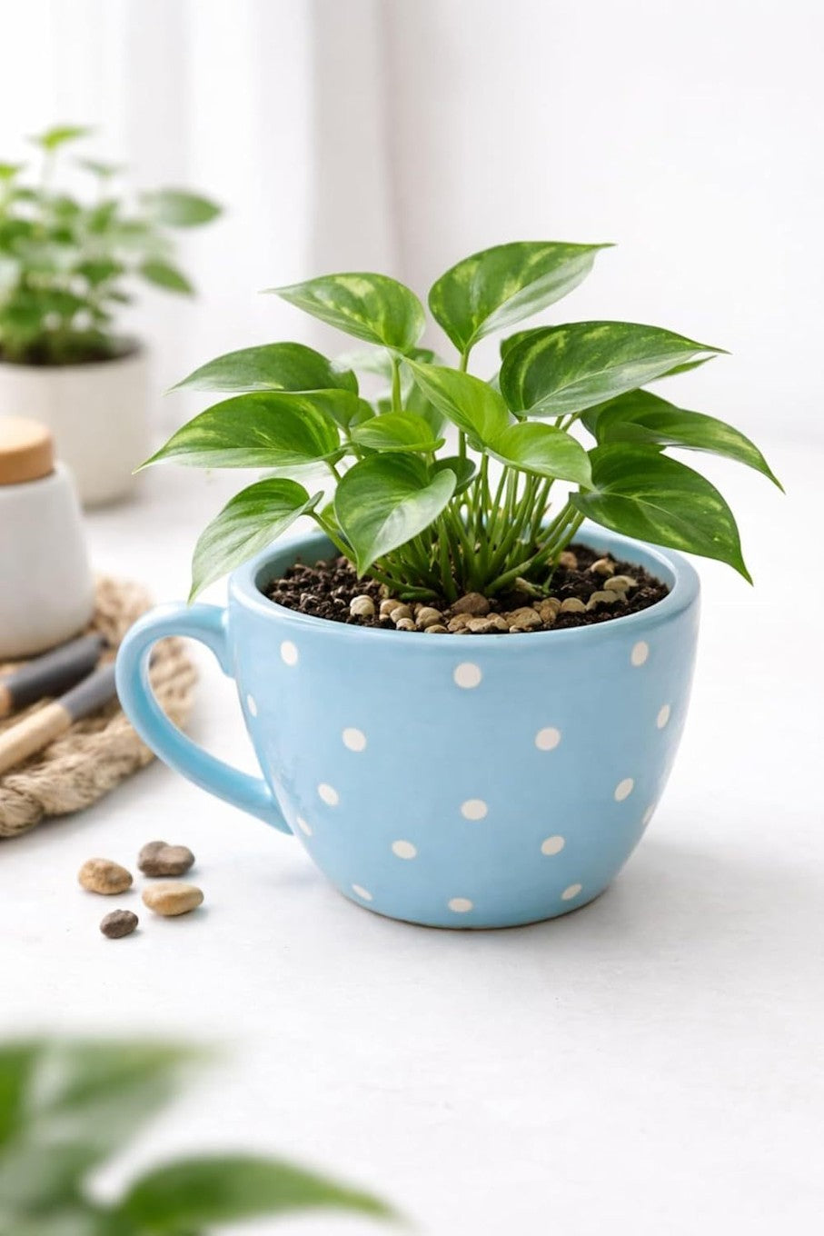 Sky Blue Cup Planter Mini Succulent Pot