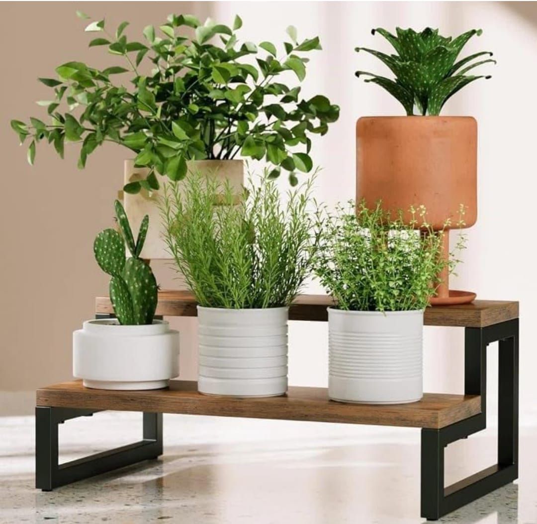 Modern Indoor Plant Stand with Ceramic Pots – Pack of 1 (Wood & Metal