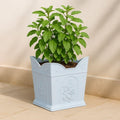 White Sattva Tulsi Pot for Balcony
