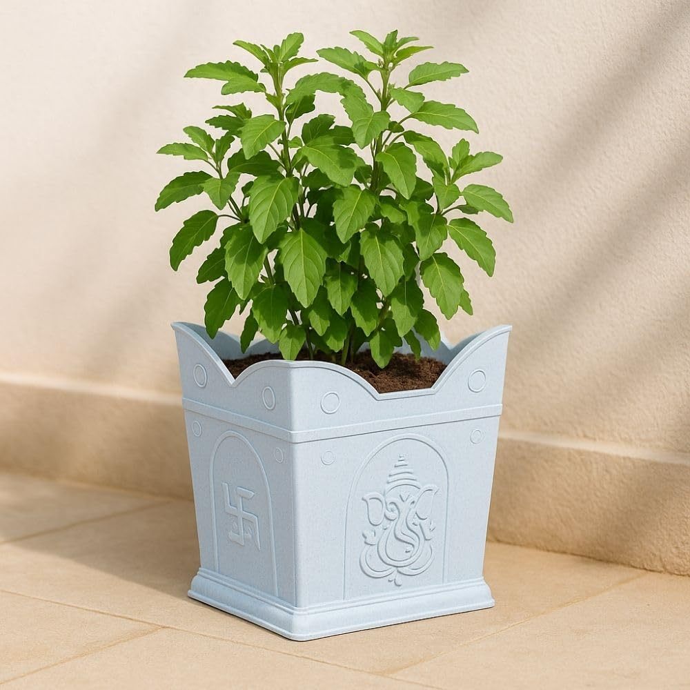 White Sattva Tulsi Pot for Balcony