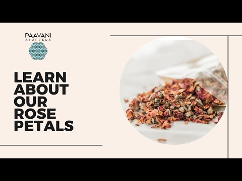 Organic Egyptian Rose Petals | Certified Organic | Rose Tea, Lattes & Bath Rituals | PAAVANI