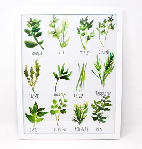 All About Herbs Art Print | 11" x 14" | Kitchen & Dining Decor | Easily Framable | 110 Weight Paper | Shelby Kregel Art