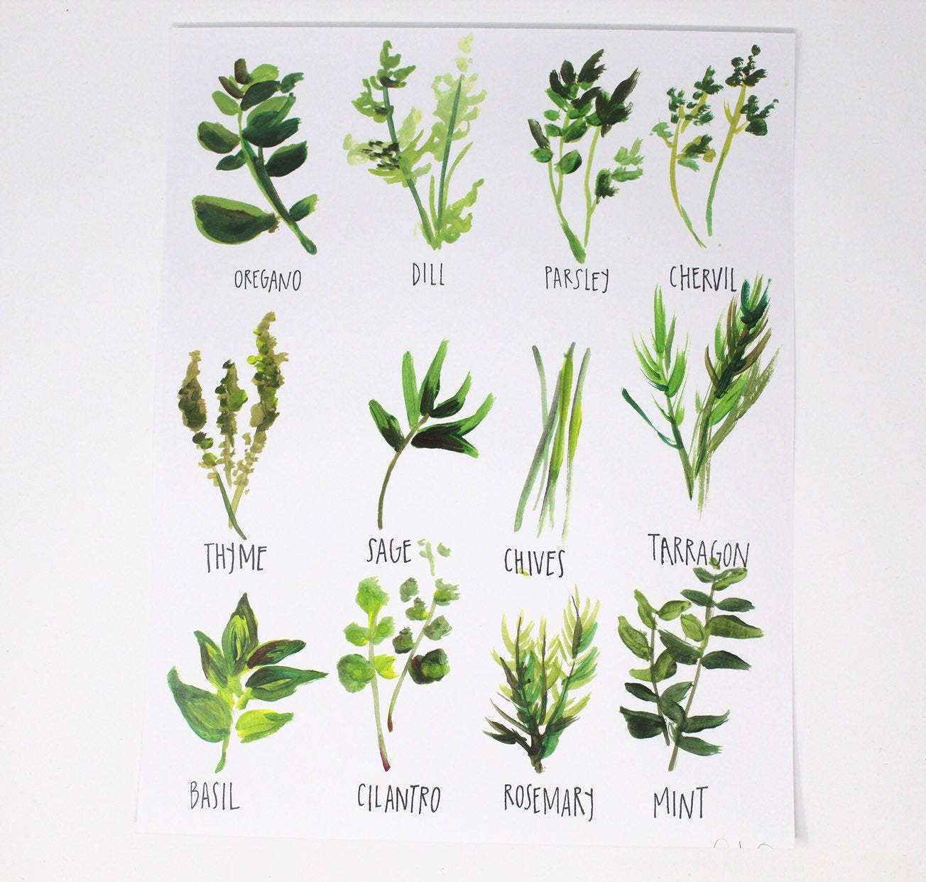 All About Herbs Art Print | 11" x 14" | Kitchen & Dining Decor | Easily Framable | 110 Weight Paper | Shelby Kregel Art