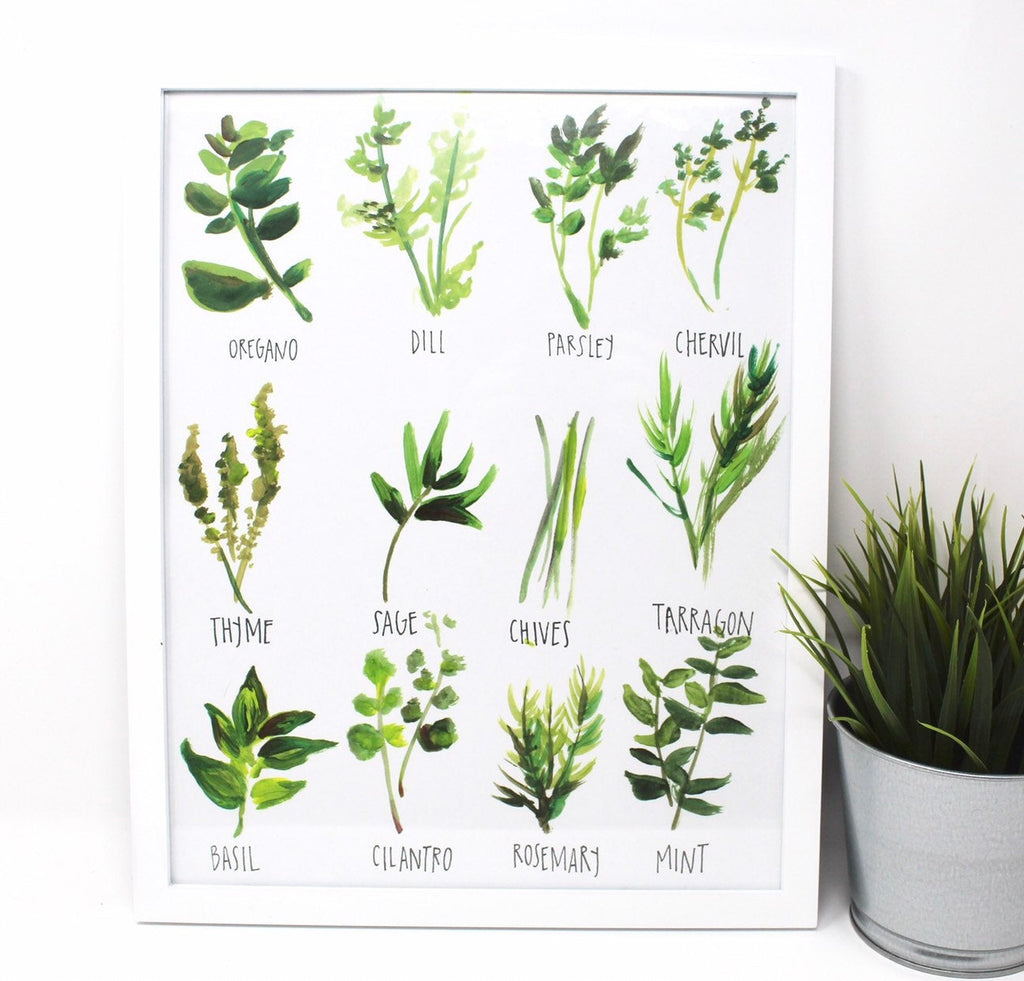 All About Herbs Art Print | 11" x 14" | Kitchen & Dining Decor | Easily Framable | 110 Weight Paper | Shelby Kregel Art