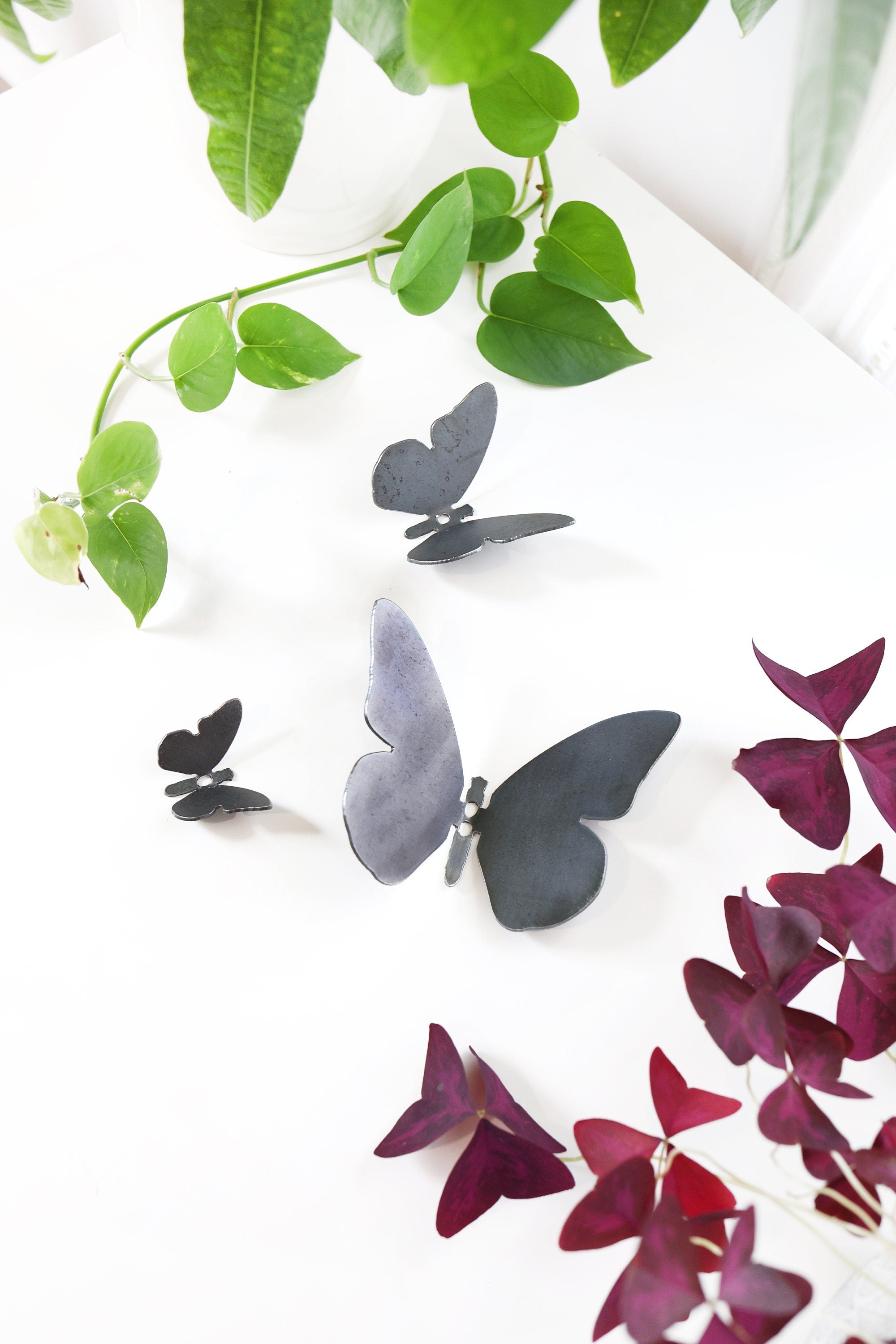 Butterfly Wall Hook – Made in USA