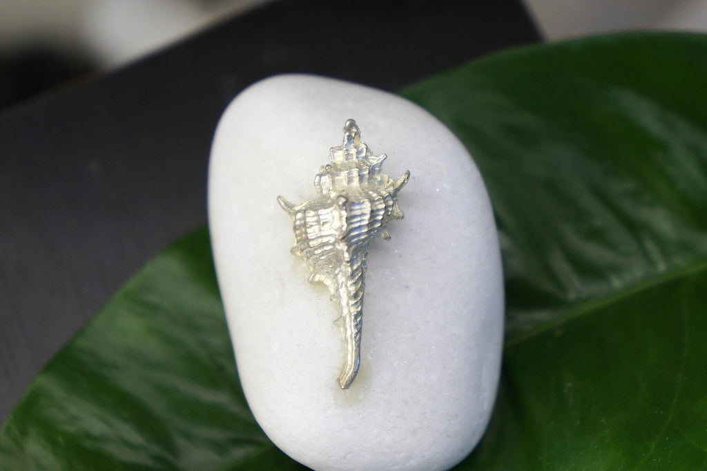 Nature Lover’s Sea Shell Statue, Miniature Home Decor (Handmade)