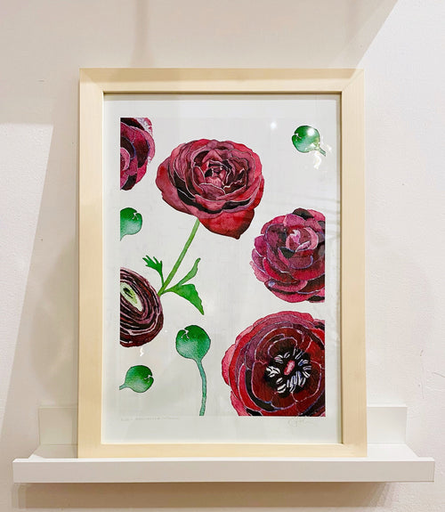 Black Ranunculus on Snow | Signed Botanical Art Print | 3 Sizes