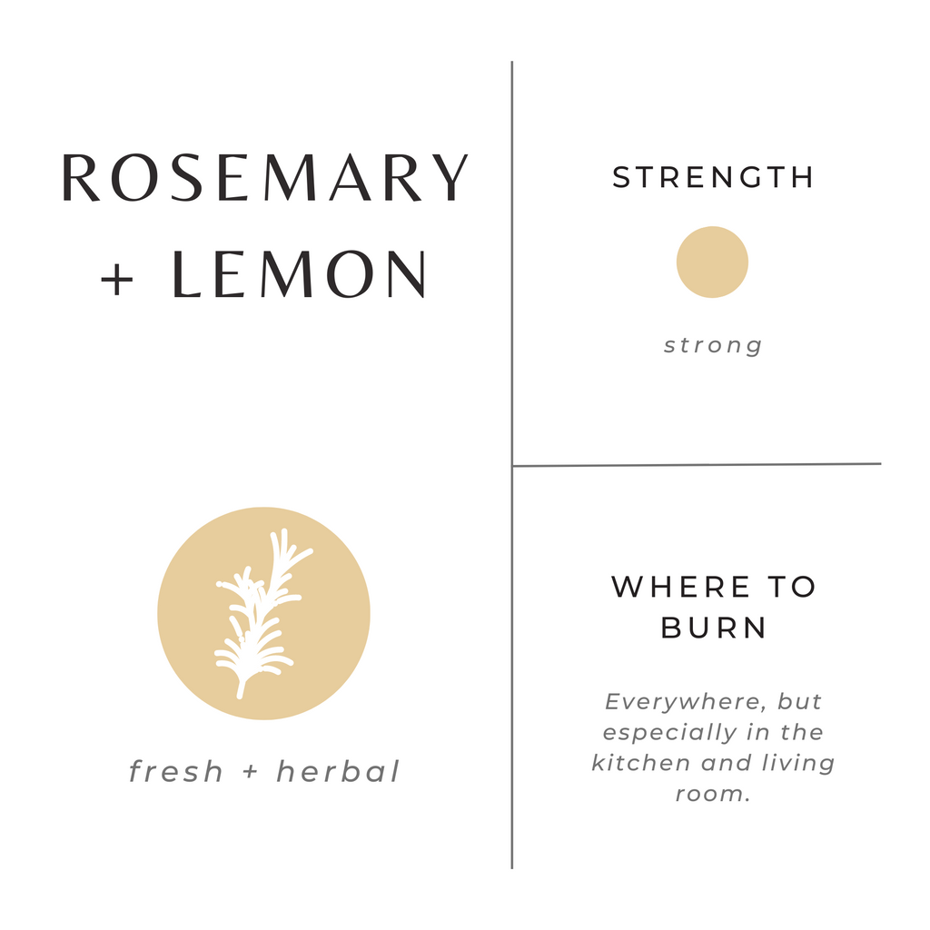 Rosemary & Lemon Soy Candle | 100% Essential Oils | Non-Toxic | Cotton Wick | Reusable Brushed Gold Tin | 20-Hour Burn | Slow North