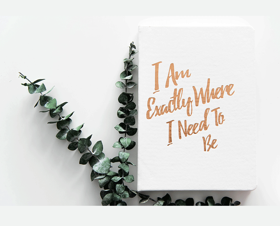 The Guided Gratitude Journal for Stress Relief