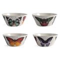 Metamorphosis Small Bowls | Set of 4 | Thomas Paul