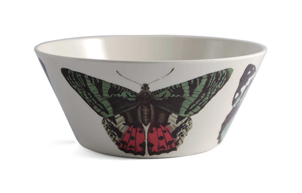 Metamorphosis Small Bowls | Set of 4 | Thomas Paul