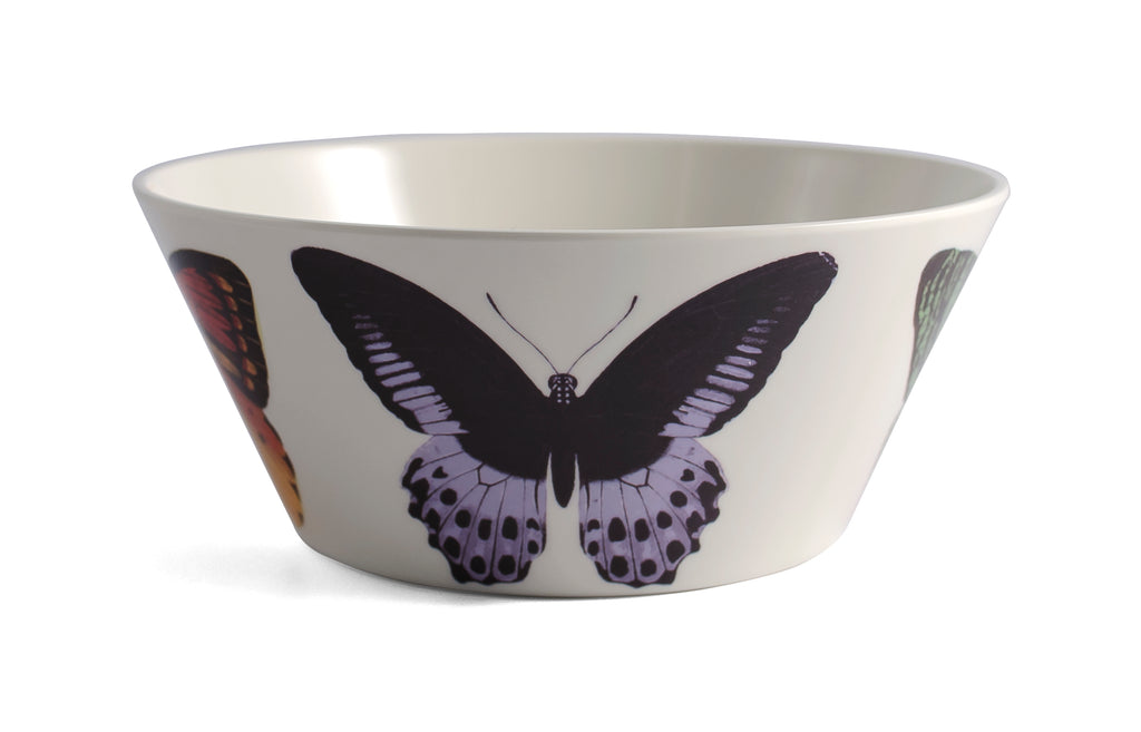 Metamorphosis Small Bowls | Set of 4 | Thomas Paul