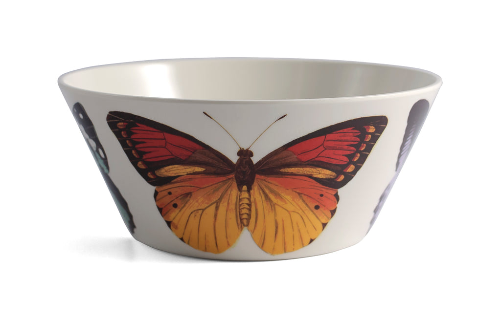 Metamorphosis Small Bowls | Set of 4 | Thomas Paul