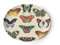 Butterfly Metamorphosis Oval Platter | Melamine | 14.5" x 11.75" | Thomas Paul