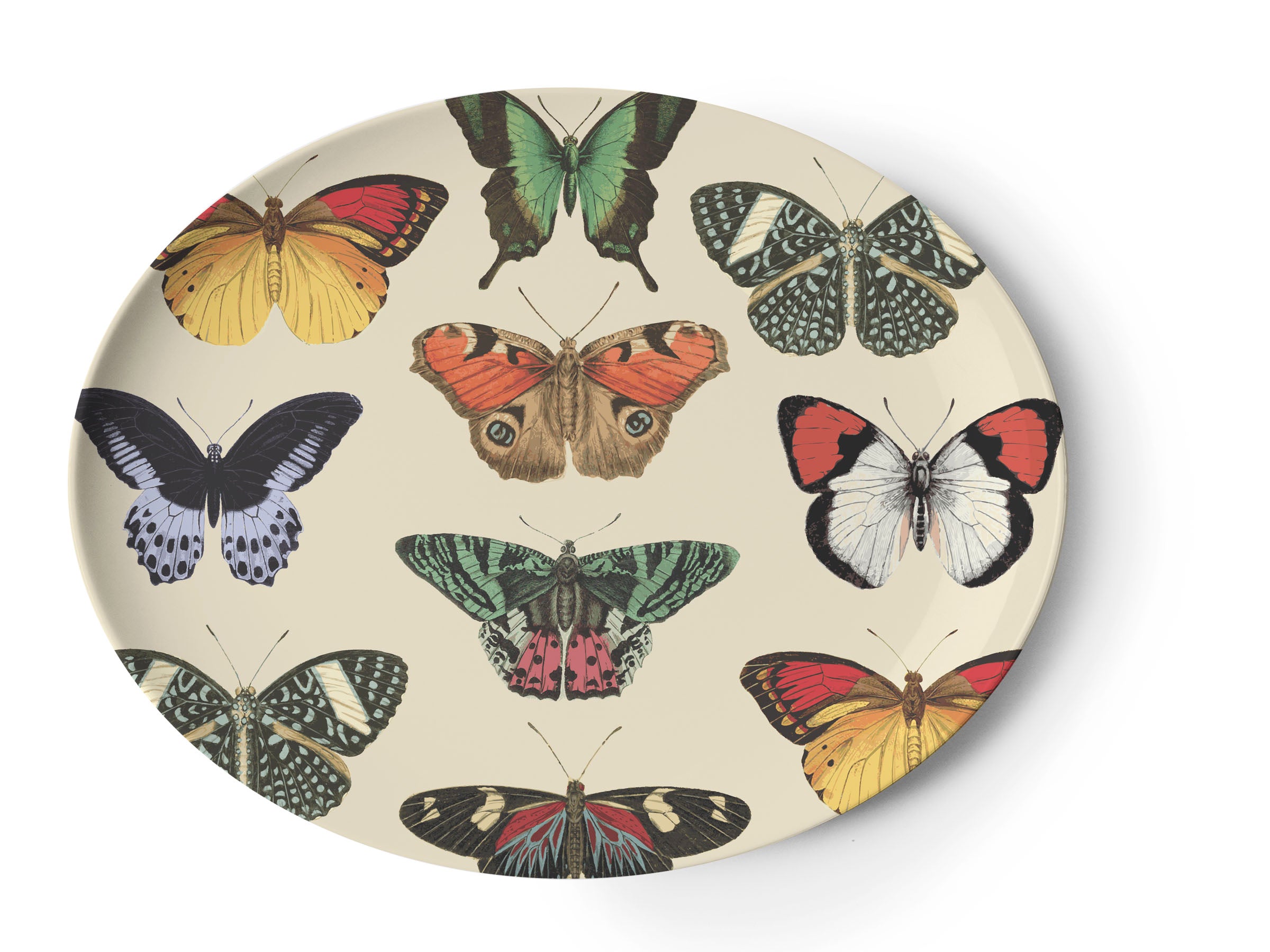 Butterfly Metamorphosis Oval Platter | Melamine | 14.5" x 11.75" | Thomas Paul