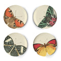 Metamorphosis Side Plates | Set of 4 | Thomas Paul
