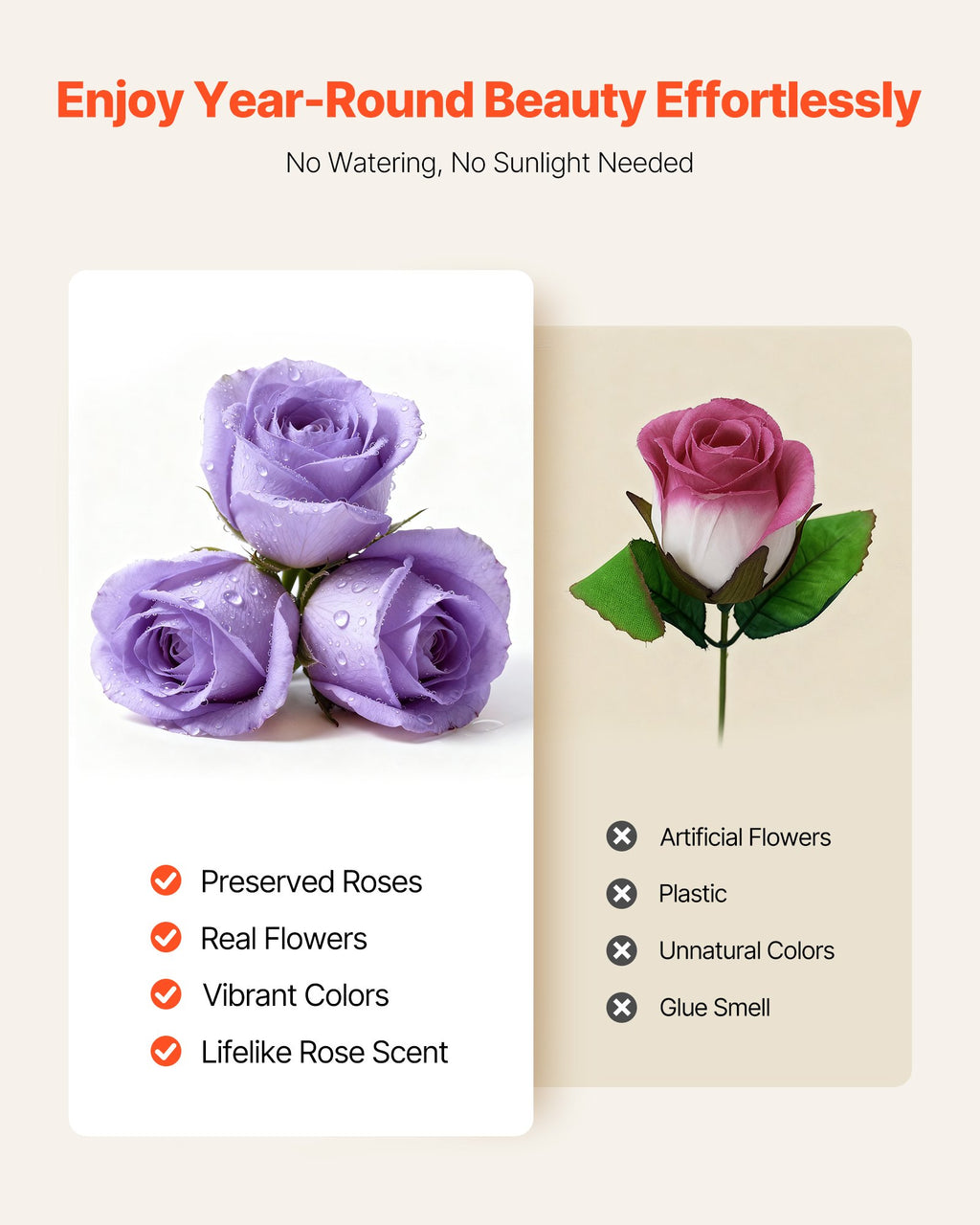 Forever Flowers, 50 Preserved Roses in a Box, Eternal Flowers Immortal