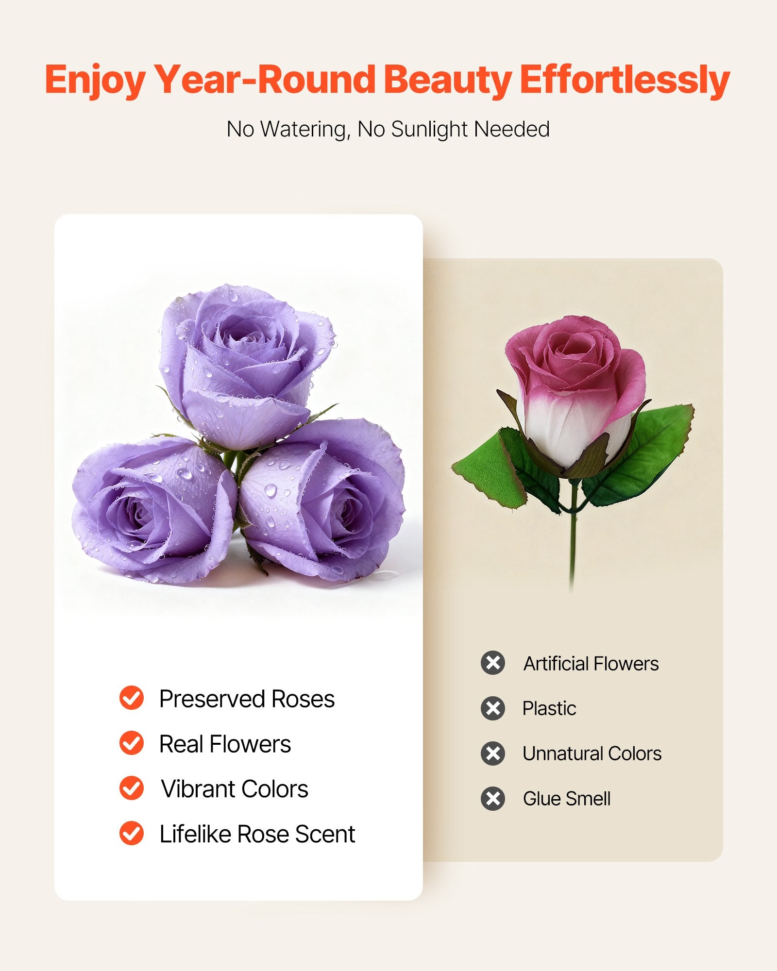 Forever Flowers, 50 Preserved Roses in a Box, Eternal Flowers Immortal